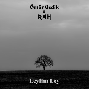 Leylim Ley - Single