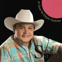 A QUE TE DEJAS QUERER-walter silva — walter silva