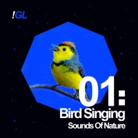 Birds Singing - EP - Sounds of Nature