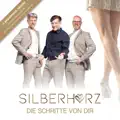 Die Schritte von Dir