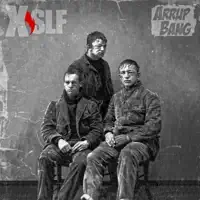 What Is Punk — XSLF