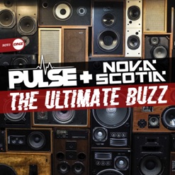 THE ULTIMATE BUZZ cover art