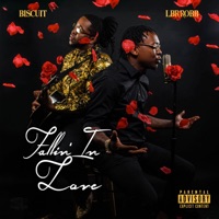 Fallin' in Love (feat. Biscuit) - Single - LBR Robb