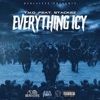 Everything Icy (feat. Stacksz) - Single