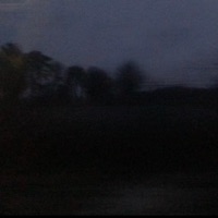 Fog - Single - Greenwood