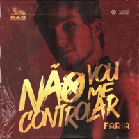 Não Vou Me Controlar - Single - Faria