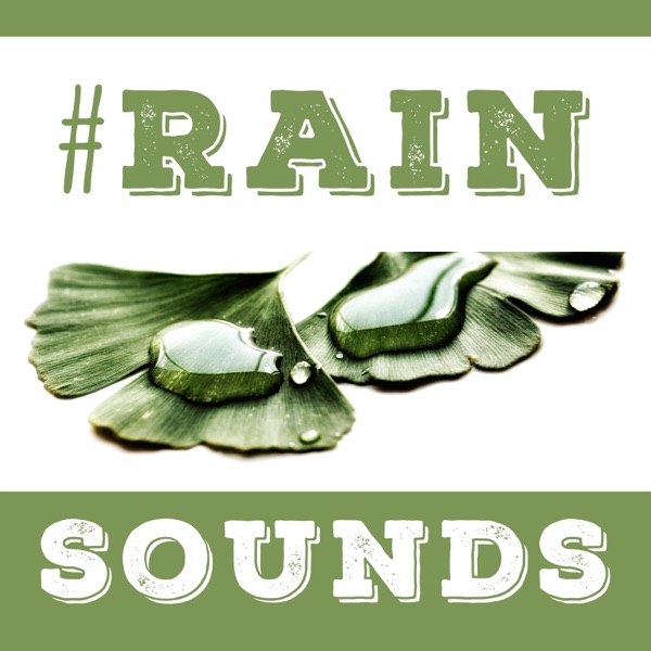 #Rain Sounds
