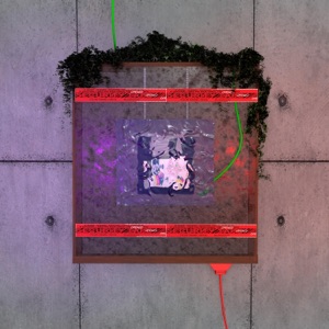 Delete Disk - EP