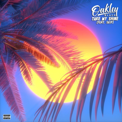 Take My Shine (feat. Skip) - Single