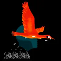 Les Oiseaux de Paradis — Meimuna