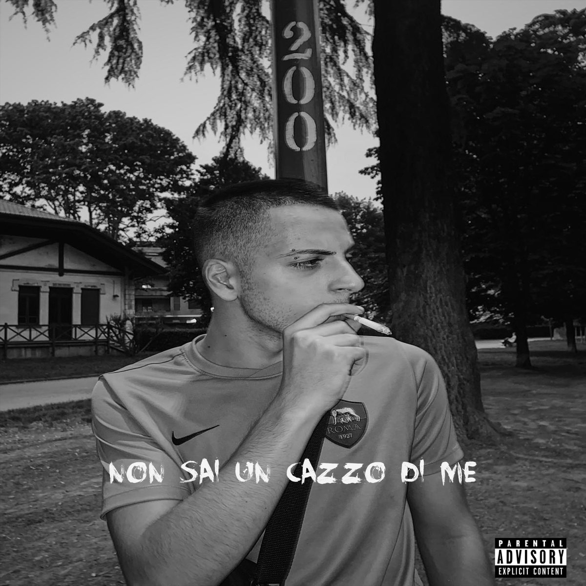 Non Sai Un Cazzo di Me - Single - Album by Gipsy - Apple Music