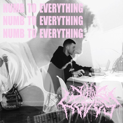 Numb to Everything - Single