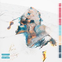 Wrong Time (feat. Sadexotic) - Single - Travy X3 & The Underdog Misfit