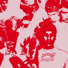 SeansDropTopCoop Sean