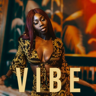 Vibe - Single
