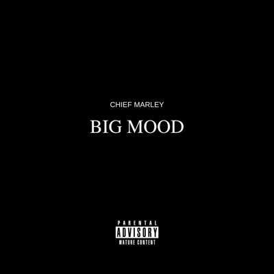 Big Mood - Single