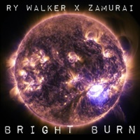 Bright Burn - Single - Ry Walker