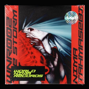 The Storm - Single