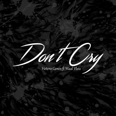 Don't Cry (feat. Maal Vleis) - Single
