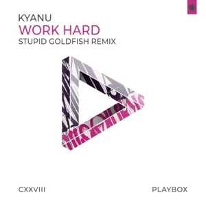 Work Hard (Stupid Goldfish Remix) - Single