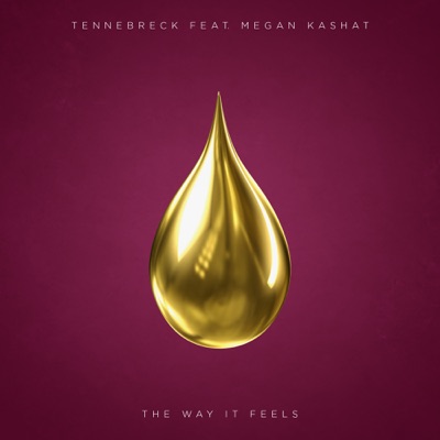 The Way It Feels (feat. Megan Kashat) - Single