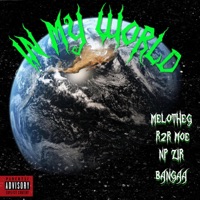 In My World (feat. R2r Moe, Np Zir & Bangaa) - Single - MeloTheg
