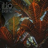 Biome - Single
