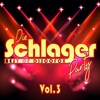 Die Schlager Party, Vol. 3: Best Of Discofox