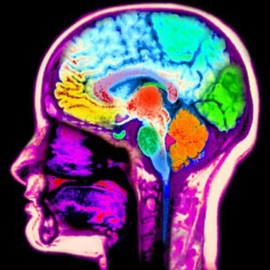 Free Your Mind (feat. Jbandz) Scooter Jr.