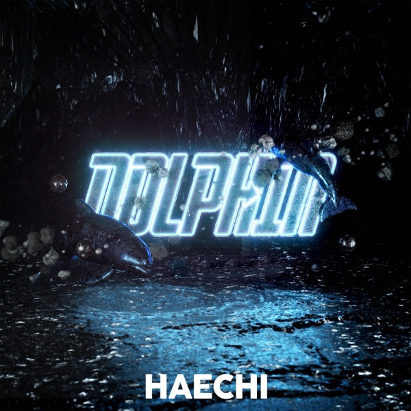 Dolphin - Single