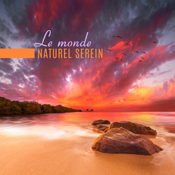 Le monde naturel serein - La collection de musique zen relaxante avec une nature profondément apaisante