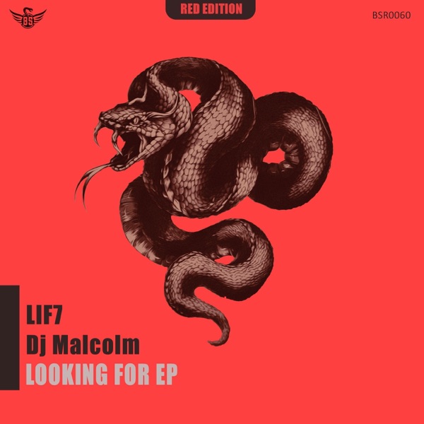 Looking For - EP