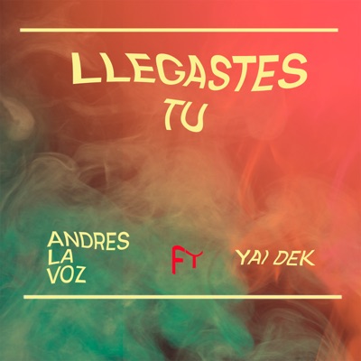 Llegastes Tu (feat. Yai Dek) - Single