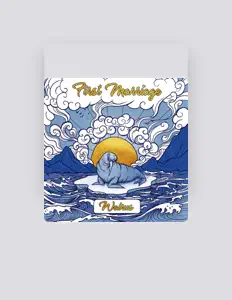 Escucha a First Marriage, mira videos musicales, lee su biografía, consulta las fechas de las gira y más.