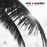 Slow Dance — Mr Lambo