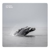 The Whale - Single