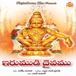 Irumudi Daivam