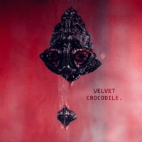 Velvet Crocodile (feat. DirtyBoys) - Single - Trinve