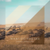 What Do You See - Daniel Deuschle