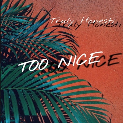 Too Nice - Single