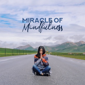 Miracle of Mindfulness: Practice of Meditation, Soothe Yourself, Peace and Calmness, Reiki & Yoga Exercises