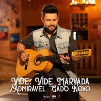 Vide Vida Marvada / Admirável Gado Novo - Single - Zéh Enrique