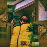 Insane - Single - Possemobap