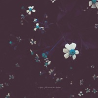Fell In Love In a Dream - Single - Kupla