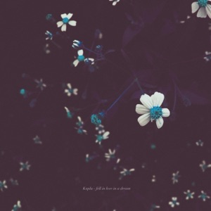 Fell In Love In a Dream - Single