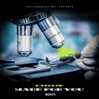 Made For You - Single - Capolow