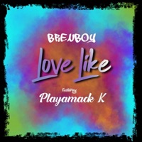 Love Like (feat. Playamack_k) - Single - Brenboy