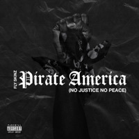 Pirate America(no Justice No Peace) - Single - Fly Skinz