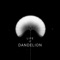 Life of dandelion - Benoit Courti lyrics