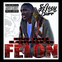I'm No Longer Felon - Single - So'Icey Burr